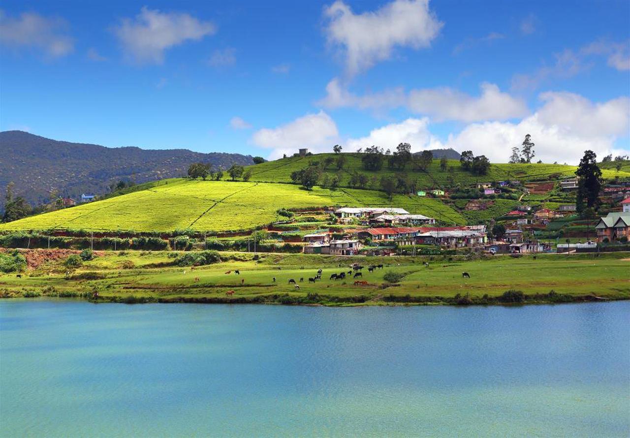 Hill View Bungalow Bed & Breakfast Nuwara Eliya Exterior photo